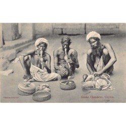 Rare collectable postcards of SRI LANKA. Vintage Postcards of SRI LANKA