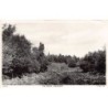 Rare collectable postcards of ENGLAND. Vintage Postcards of ENGLAND