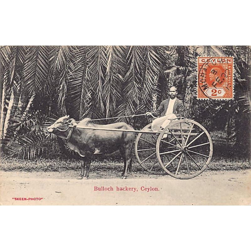 Rare collectable postcards of SRI LANKA. Vintage Postcards of SRI LANKA