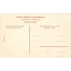 Rare collectable postcards of SRI LANKA. Vintage Postcards of SRI LANKA