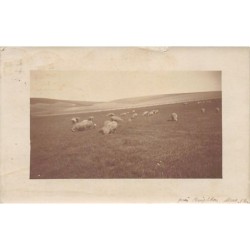Rare collectable postcards of ENGLAND. Vintage Postcards of ENGLAND