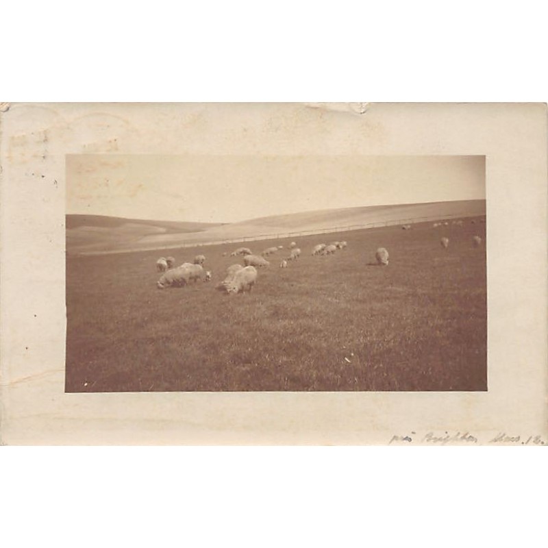 Rare collectable postcards of ENGLAND. Vintage Postcards of ENGLAND