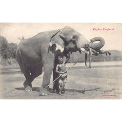 Rare collectable postcards of SRI LANKA. Vintage Postcards of SRI LANKA