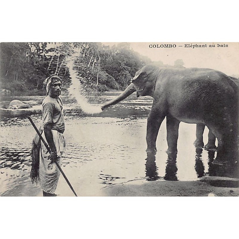 Rare collectable postcards of SRI LANKA. Vintage Postcards of SRI LANKA