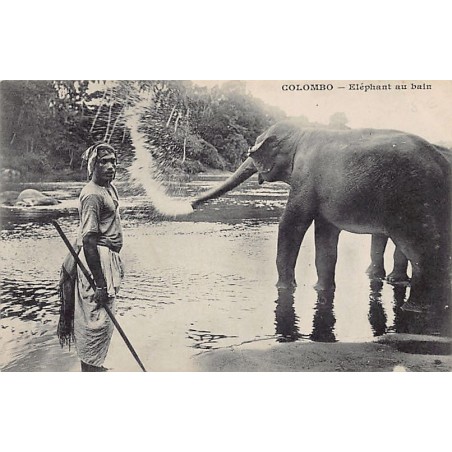 Rare collectable postcards of SRI LANKA. Vintage Postcards of SRI LANKA