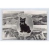 Rare collectable postcards of ENGLAND. Vintage Postcards of ENGLAND