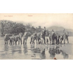 Rare collectable postcards of SRI LANKA. Vintage Postcards of SRI LANKA