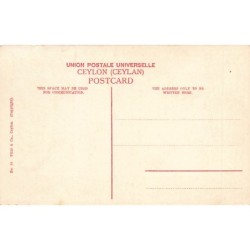 Rare collectable postcards of SRI LANKA. Vintage Postcards of SRI LANKA