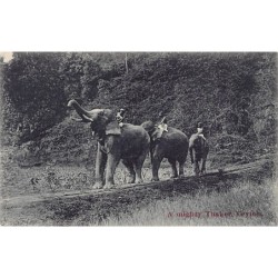 Rare collectable postcards of SRI LANKA. Vintage Postcards of SRI LANKA