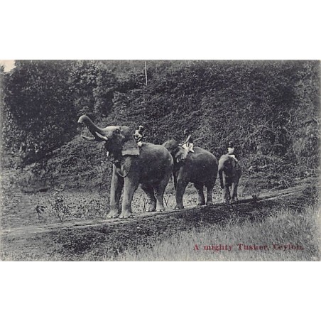 Rare collectable postcards of SRI LANKA. Vintage Postcards of SRI LANKA