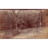 Rare collectable postcards of ENGLAND. Vintage Postcards of ENGLAND