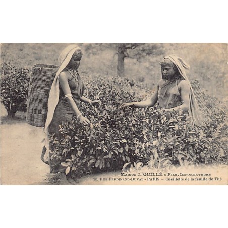 Rare collectable postcards of SRI LANKA. Vintage Postcards of SRI LANKA