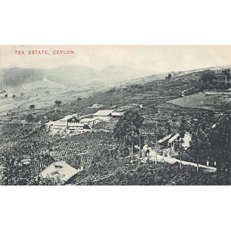 Rare collectable postcards of SRI LANKA. Vintage Postcards of SRI LANKA