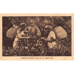 Rare collectable postcards of SRI LANKA. Vintage Postcards of SRI LANKA