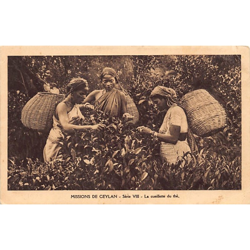 Rare collectable postcards of SRI LANKA. Vintage Postcards of SRI LANKA