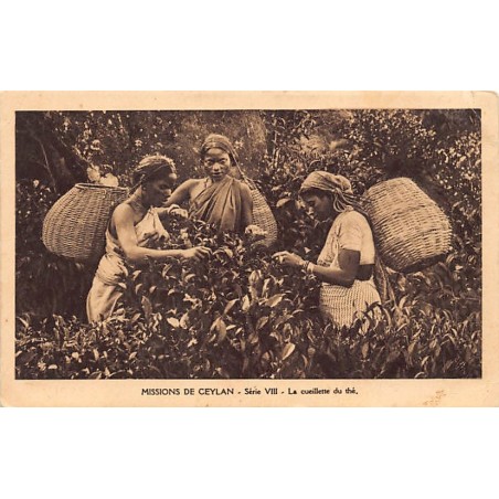 Rare collectable postcards of SRI LANKA. Vintage Postcards of SRI LANKA