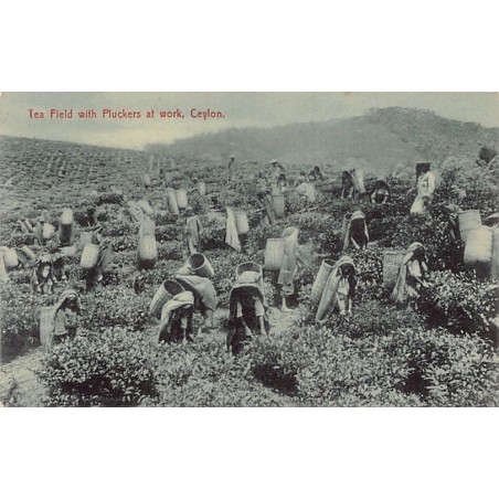 Rare collectable postcards of SRI LANKA. Vintage Postcards of SRI LANKA