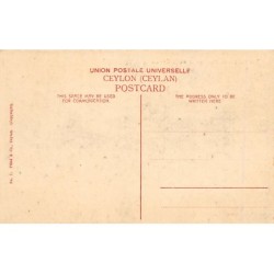 Rare collectable postcards of SRI LANKA. Vintage Postcards of SRI LANKA