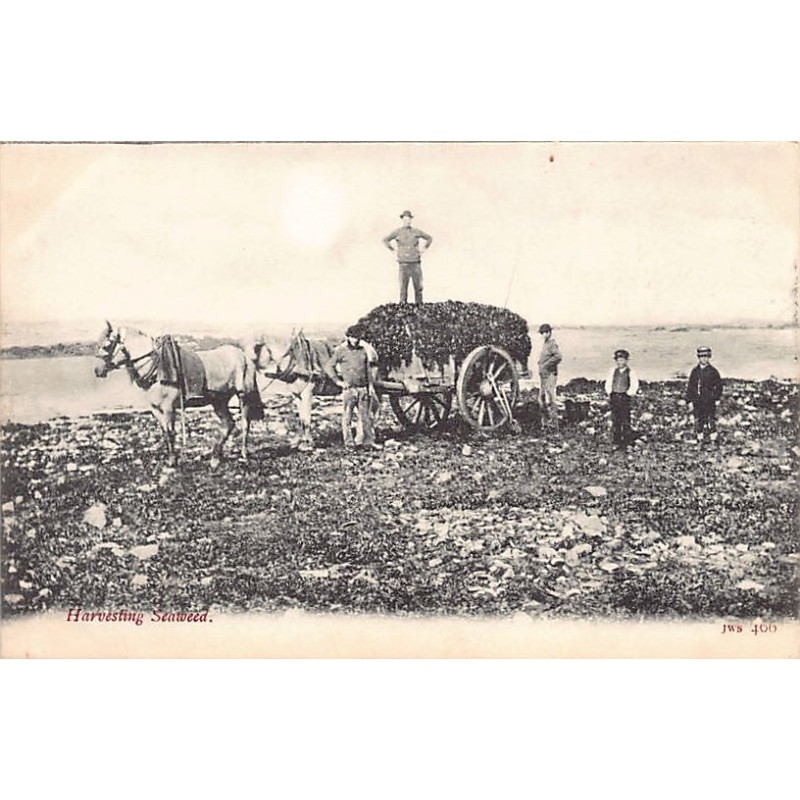 Rare collectable postcards of JERSEY. Vintage Postcards of JERSEY