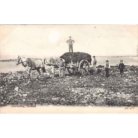 Rare collectable postcards of JERSEY. Vintage Postcards of JERSEY