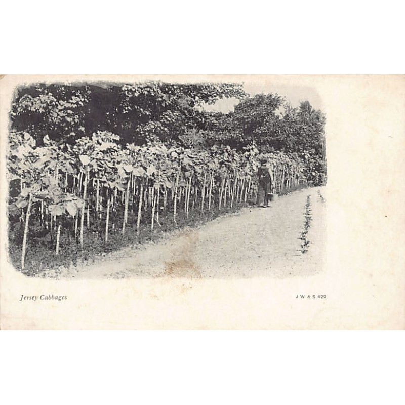 Rare collectable postcards of JERSEY. Vintage Postcards of JERSEY