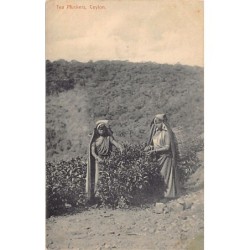 Rare collectable postcards of SRI LANKA. Vintage Postcards of SRI LANKA