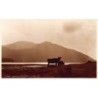 Rare collectable postcards of SCOTLAND. Vintage Postcards of SCOTLAND