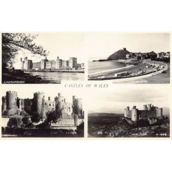 Rare collectable postcards of WALES. Vintage Postcards of WALES