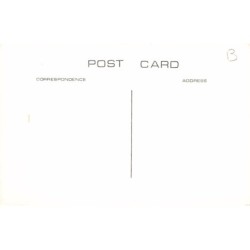 Rare collectable postcards of WALES. Vintage Postcards of WALES