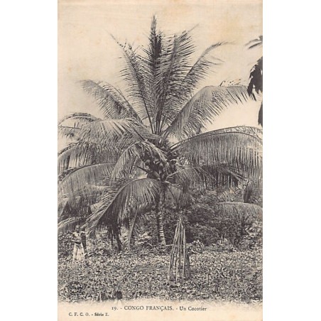 Rare collectable postcards of CONGO BRAZZAVILLE. Vintage Postcards of CONGO BRAZZAVILLE