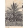 Rare collectable postcards of CONGO BRAZZAVILLE. Vintage Postcards of CONGO BRAZZAVILLE