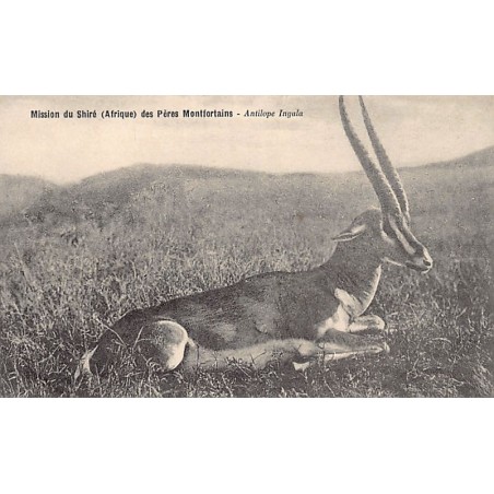 Rare collectable postcards of MALAWI. Vintage Postcards of MALAWI