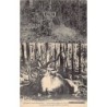 Rare collectable postcards of MALAWI. Vintage Postcards of MALAWI