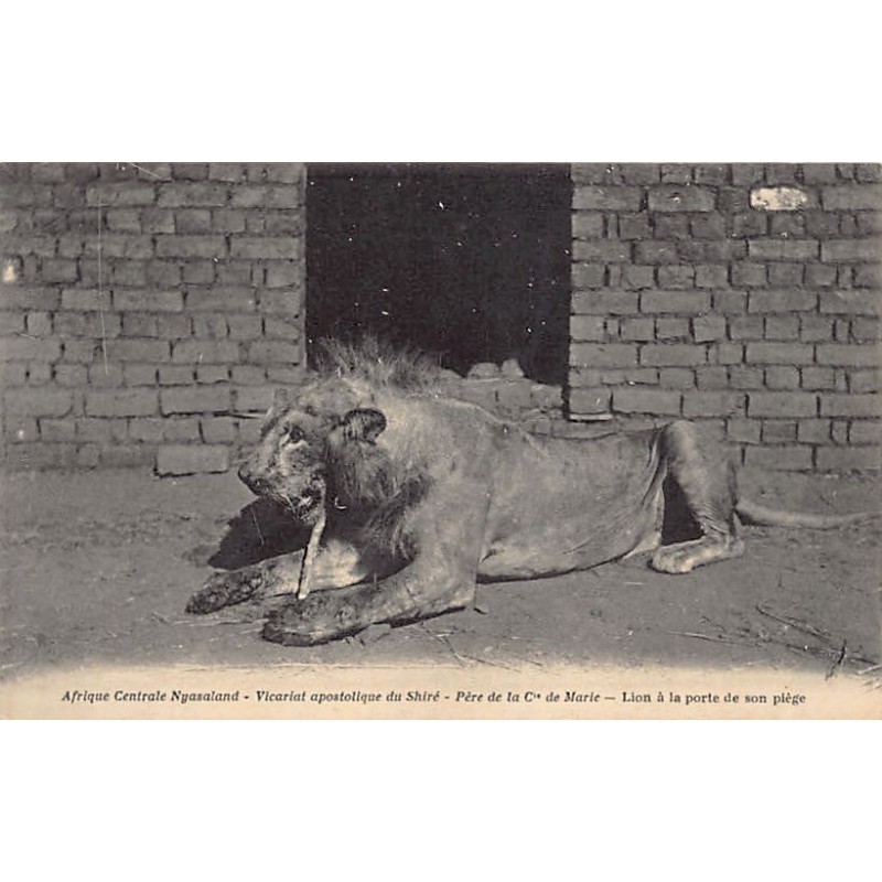 Rare collectable postcards of MALAWI. Vintage Postcards of MALAWI