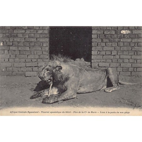 Rare collectable postcards of MALAWI. Vintage Postcards of MALAWI