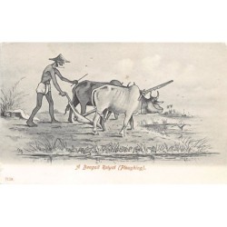 Rare collectable postcards of INDIA. Vintage Postcards of INDIA