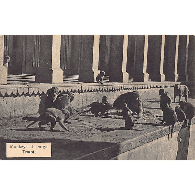 Rare collectable postcards of INDIA. Vintage Postcards of INDIA