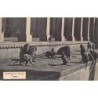 Rare collectable postcards of INDIA. Vintage Postcards of INDIA