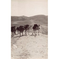 Rare collectable postcards of ISRAEL & PALESTINE. Vintage Postcards of ISRAEL & PALESTINE