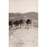 Rare collectable postcards of ISRAEL & PALESTINE. Vintage Postcards of ISRAEL & PALESTINE