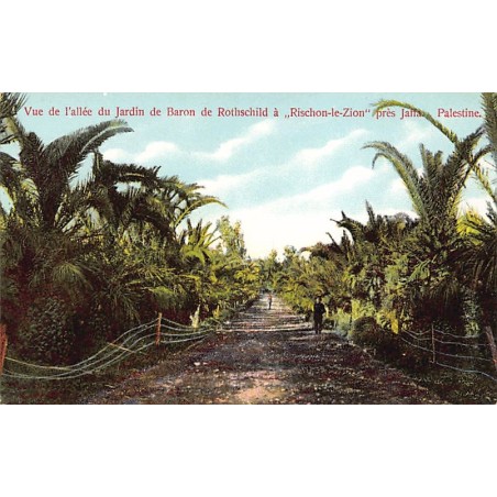 Rare collectable postcards of ISRAEL & PALESTINE. Vintage Postcards of ISRAEL & PALESTINE