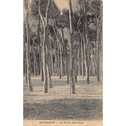 Rare collectable postcards of LEBANON. Vintage Postcards of LEBANON