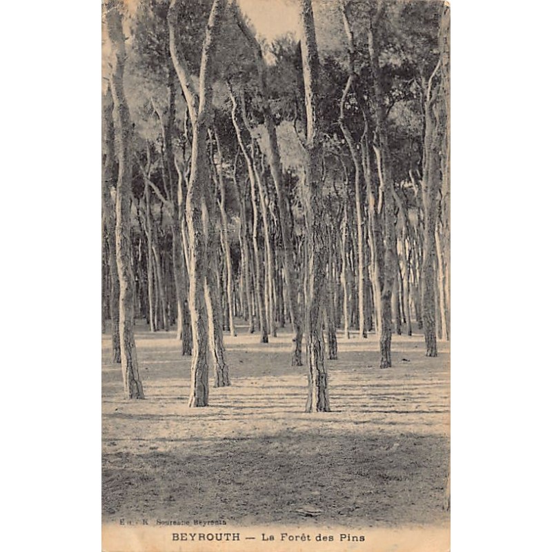 Rare collectable postcards of LEBANON. Vintage Postcards of LEBANON