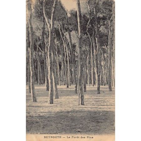 Rare collectable postcards of LEBANON. Vintage Postcards of LEBANON