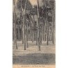 Rare collectable postcards of LEBANON. Vintage Postcards of LEBANON