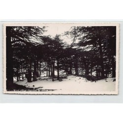 Rare collectable postcards of LEBANON. Vintage Postcards of LEBANON