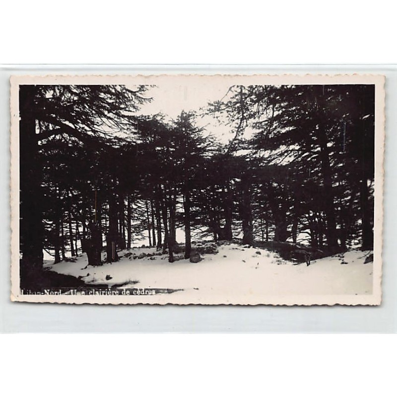Rare collectable postcards of LEBANON. Vintage Postcards of LEBANON