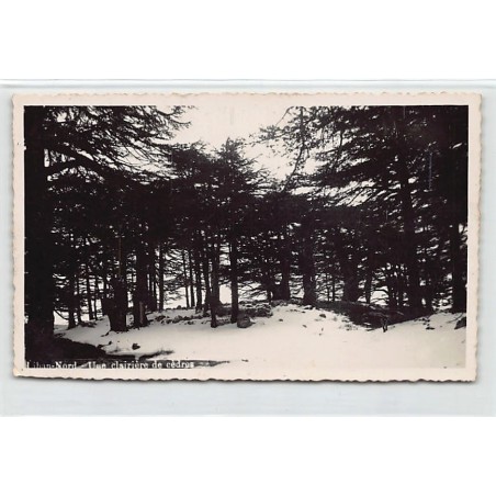 Rare collectable postcards of LEBANON. Vintage Postcards of LEBANON