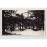 Rare collectable postcards of LEBANON. Vintage Postcards of LEBANON