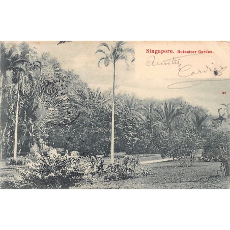 Rare collectable postcards of SINGAPORE. Vintage Postcards of SINGAPORE